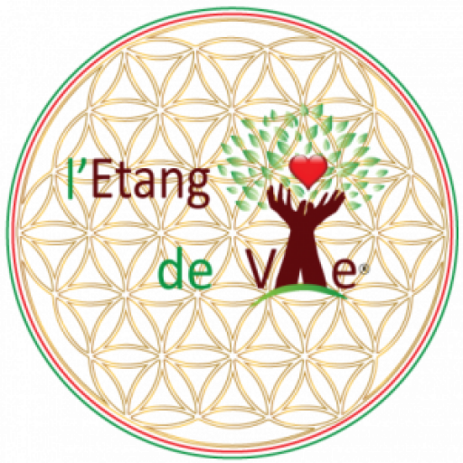 www.letangdevie.fr